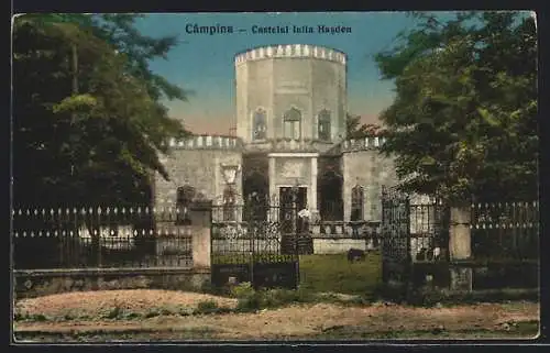 AK Câmpina, Castelul Iulia Hasdeu
