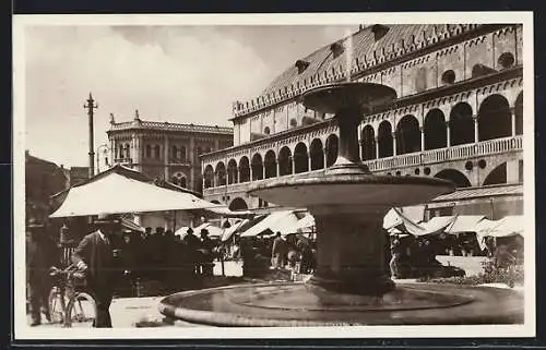 AK Padova, Piazza delle Erbe
