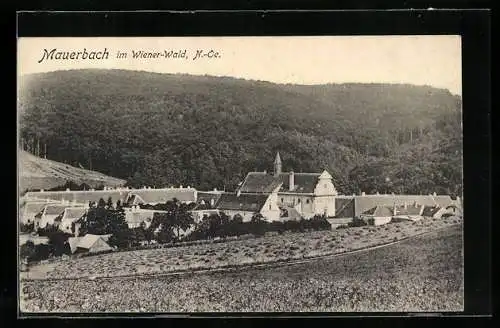 AK Mauerbach im Wiener-Wald, Ortsansicht mit KIrche