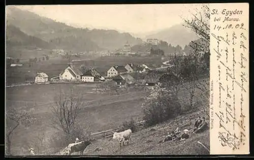 AK St. Egyden bei Murau, Ortsansicht mit Kirche und Kuhherde