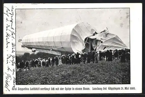 AK Göppingen, Graf Zeppelins Luftschiff verfängt sich bei der Landung in einem Baum, 31.5.1909