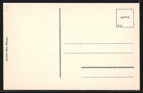 AK Zeppelin`sches Luftschiff Modell 4 fährt aus der Halle, bei der Landung, nach der Feuerkatastrophe 1908