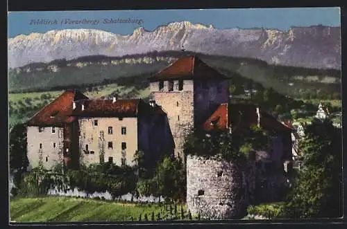 AK Feldkirch, Schattenburg, Gesamtansicht