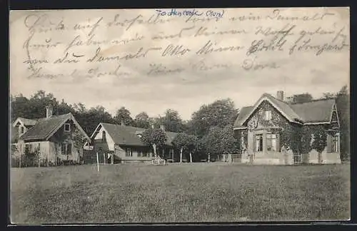 AK Todtenrode i. Harz, Dorfpartie mit Wiese