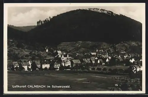 AK Calmbach /Schwarzwald, Ortsansicht vor Berghintergrund