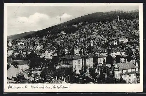 AK Ettlingen, Panorama