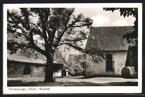 AK Oberderdingen /Württ., Amtshof