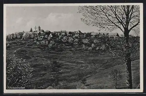 AK Frickenhofen, Teilansicht mit Kirche