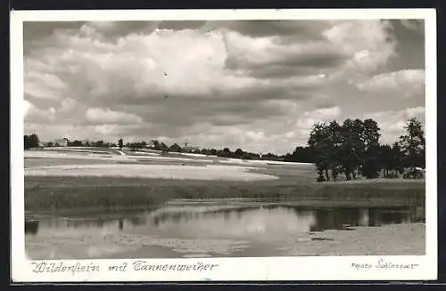 AK Wildenstein / Crailsheim, Teilansicht mit Tannenweiher