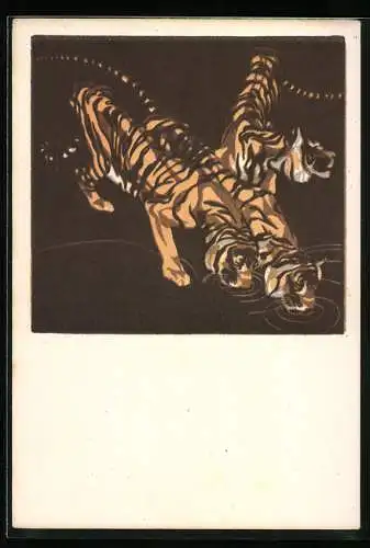 Künstler-AK Norbertine Bresslern-Roth: trinkende Tiger