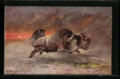 Künstler-AK M. Müller jun.: Bisons rennen vor Feuer davon