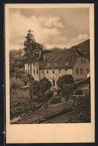 AK Heidelberg, Partie mit Hirschgasse