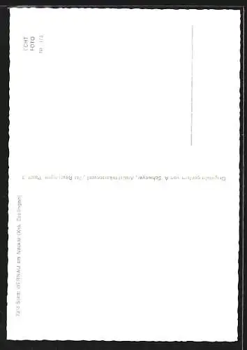 AK Wernau /Neckar, Strassenpartie mit Kirche