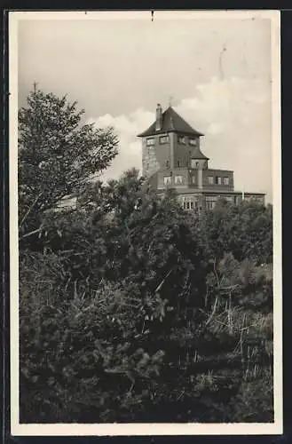 AK Burg / Fehmarn, Restaurant Wartturm vom Wald gesehen