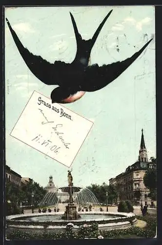 AK Bonn, Springbrunnen am Platz, Schwalbe mit der Grusskarte