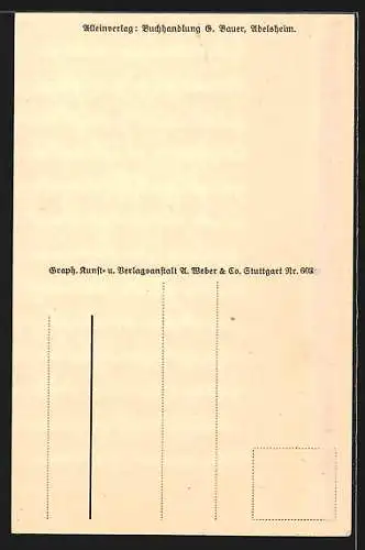 AK Adelsheim i. Bd., Partie aus den städtischen Anlagen