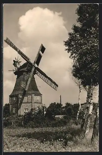 AK Graal-Müritz, Ansicht der Windmühle