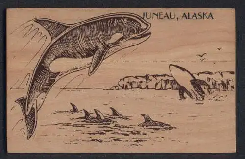Holz-AK Juneau, Alaska, Wale springen aus dem Meer