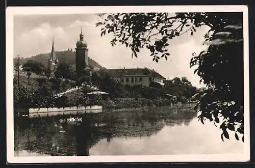 AK Zeil a. Main, Flusspartie mit Schwänen