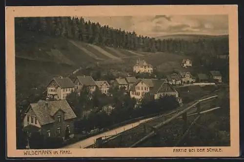 AK Wildemann im Harz, Partie bei der Schule