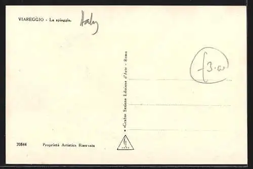 AK Viareggio, La spiaggia