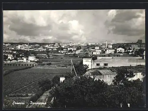 AK Sassari, Panorama