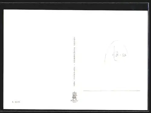 AK Sassari, Panorama