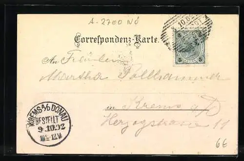 Lithographie Wiener Neustadt, K. K. Militär-Academie