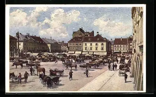 AK Wiener Neustadt, Hauptplatz mit Marktständen, Pferdegespanne