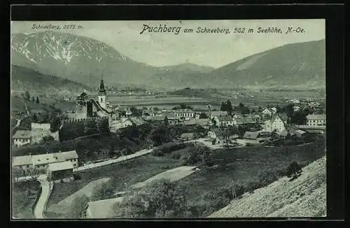 Mondschein-AK Puchberg am Schneeberg, Totalansicht mit Schneeberg aus der Vogelschau