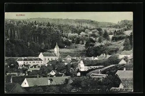 AK Blumau, Teilansicht mit Waldblick aus der Vogelschau