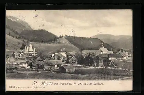 AK St. Aegyd am Neuwalde, Ortsansicht vor Berpanorama