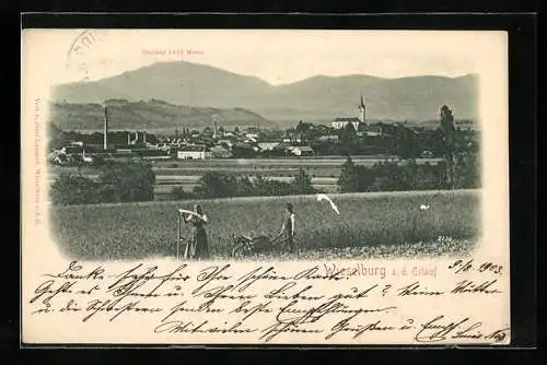 AK Wieselburg a. d. Erlauf, Ortsansicht mit Landarbeitern und Ötscher