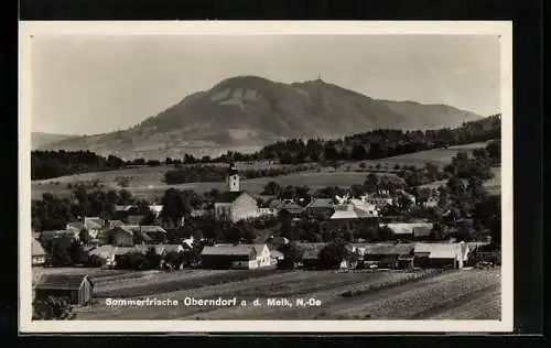 AK Oberndorf a. d. Melk, Ortspanorama