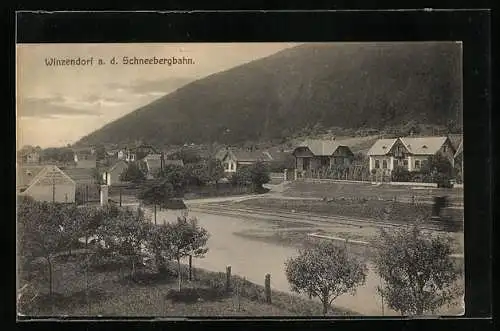 AK Winzendorf a. d. Schneebergbahn, Ortspartie