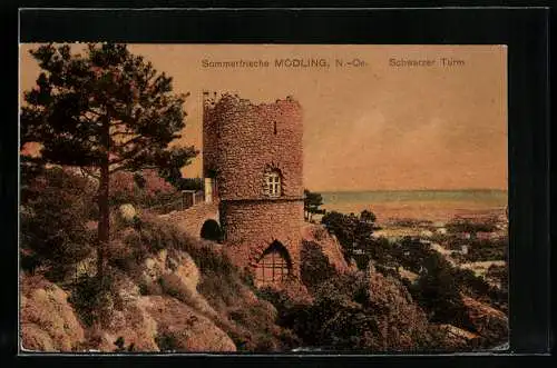 AK Mödling /N.-Ö., Blick auf den Schwarzen Turm
