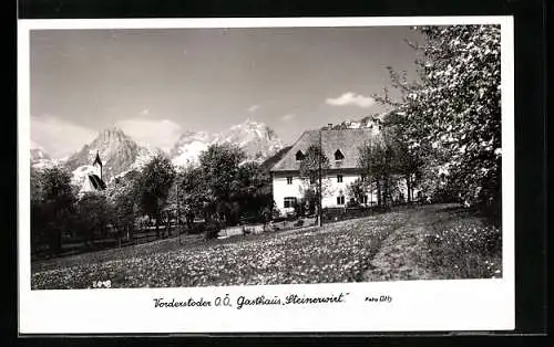 AK Vorderstoder /O.-Ö., Blühende Bäume am Gasthaus Steinerwirt