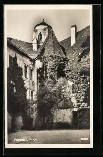 AK Purgstall /N.-Oe., Partie an einem alten, weinbewachsenen Haus