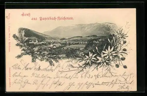 AK Payerbach-Reichenau, Ortsansicht gegen das Gebirge