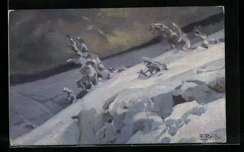 Künstler-AK Fritz Reiss: Winter im Schwarzwald, verschneiter Hang