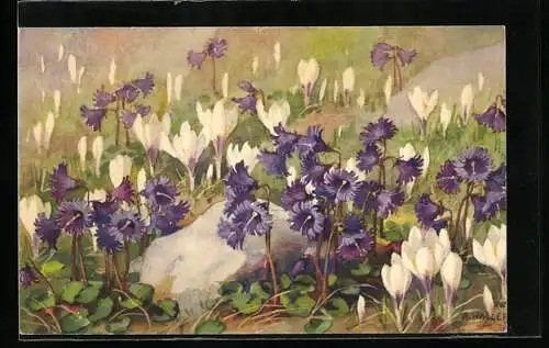 Künstler-AK Anna Haller: Krokusse und violette Blumen im Schnee