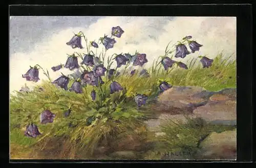 Künstler-AK Anna Haller: Violette Blumen erblühen zur Sommerzeit