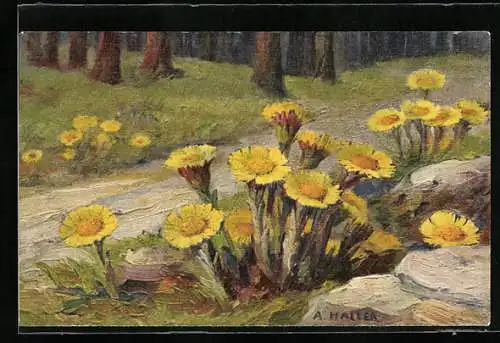Künstler-AK Anna Haller: Gelbe Blumen am Waldesrand