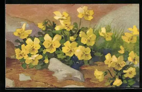 Künstler-AK Anna Haller: Gelbe Blumen zwischen Steinen