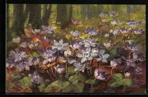 Künstler-AK Anna Haller: Violette Blumen im Wald