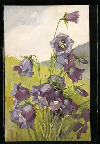 Künstler-AK Anna Haller: Glockenblumen mit lila Blüten