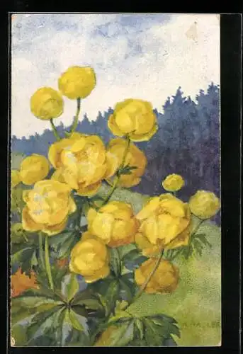 Künstler-AK Anna Haller: Gelb blühende Blumen auf einer Bergwiese