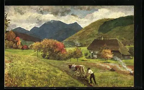 Künstler-AK Heinrich Hoffmann: Untermünstertal, Hausansicht und Bauer beim Pflügen