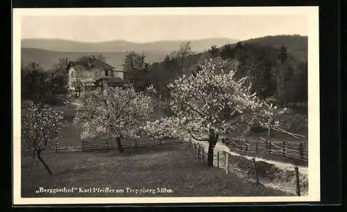 AK Troppberg, Berggasthof Karl Pfeiffer