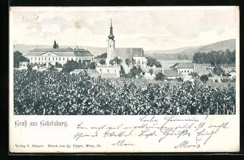 AK Gobelsburg, Ortspartie mit Kirche